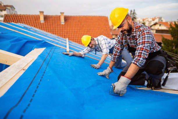 Best Emergency Roof Repair Services  in Sardinia, OH